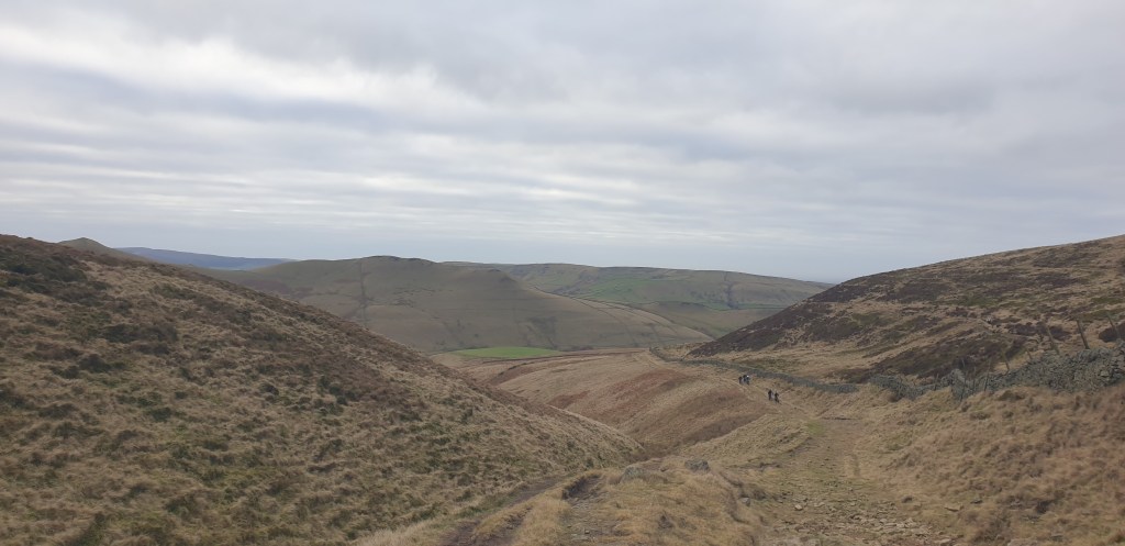 A rural landscape with moutain bikres riding up a rough track.